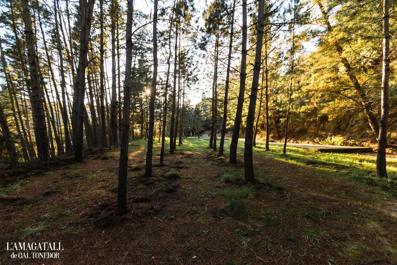 El Niu - L'Amagatall De Cal Tonedor Konuk evi Vallgorguina Dış mekan fotoğraf